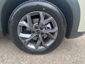 BYD Atto 2- Die Familie wird größer 4 A 2 6