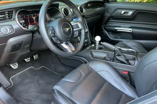 Mustang 02