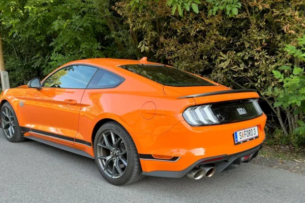 Mustang 07