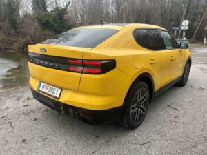 C 3