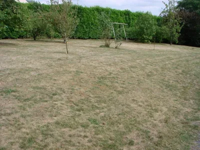 DSC06040