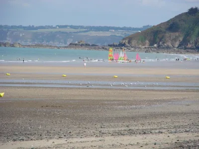 DSC06220