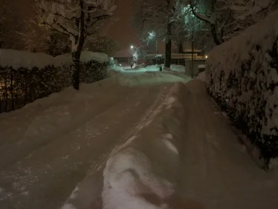 DSC06316