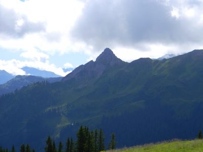 DSCN3704