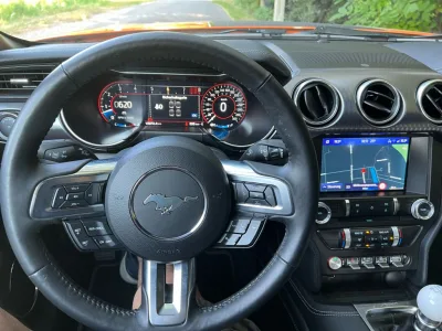 Mustang_05