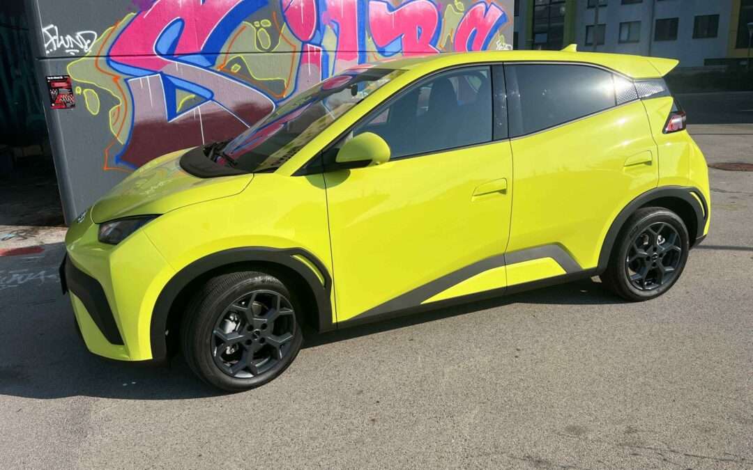 BYD Dolphin Surf-Surfen auf der Erfolgswelle