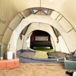 Dacia Extreme- Dacia erfindet sich neu 10