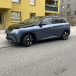 BYD Dolphin-Der elektrische Flipper 8 612782994