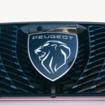 Peugeot e5008-Leiser Reisen 21