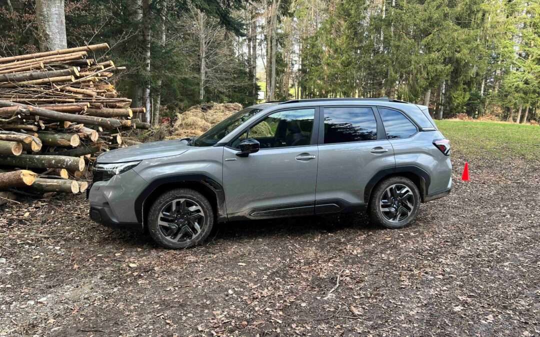 Subaru Forester-Sternenfeuer