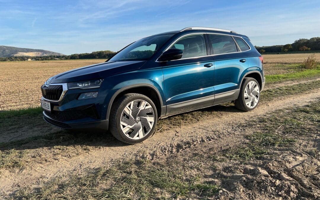 Skoda Karoq TSI DSG ACT- Praktikus ohne Allüren