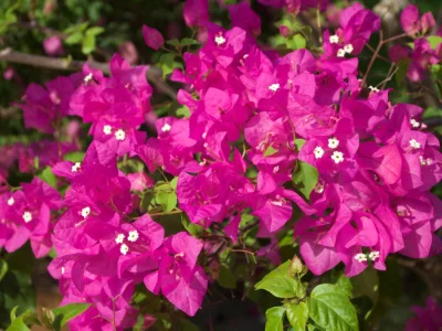 thumb_IMG_3335_1024