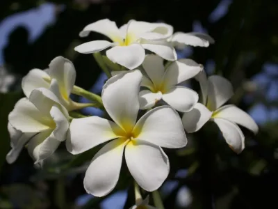 thumb_IMG_3338_1024