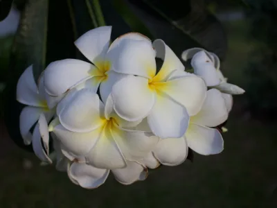 thumb_IMG_3405_1024