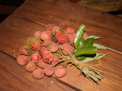 thumb_IMG_3558_1024
