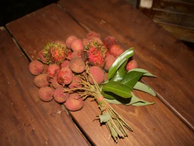 thumb_IMG_3559_1024