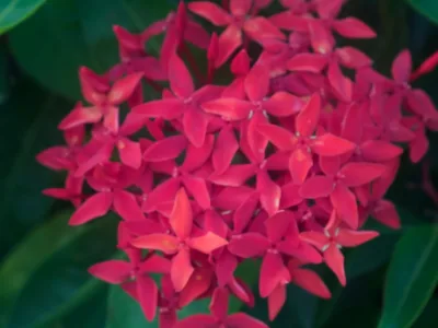 thumb_IMG_3584_1024