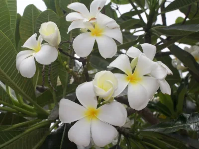 thumb_IMG_3633_1024