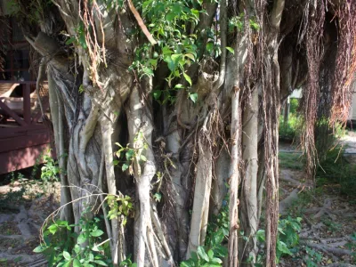 thumb_IMG_3717_1024