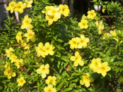 thumb_IMG_3727_1024