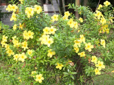 thumb_IMG_3907_1024