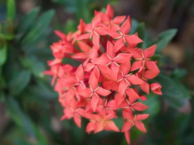 thumb_IMG_3919_1024