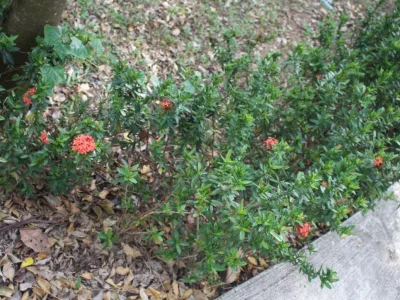 thumb_IMG_3920_1024