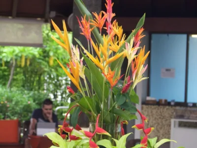 thumb_IMG_3934_1024
