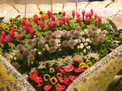 thumb_IMG_3954_1024