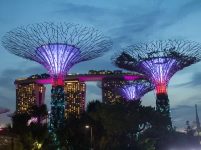 thumb_IMG_4042_1024